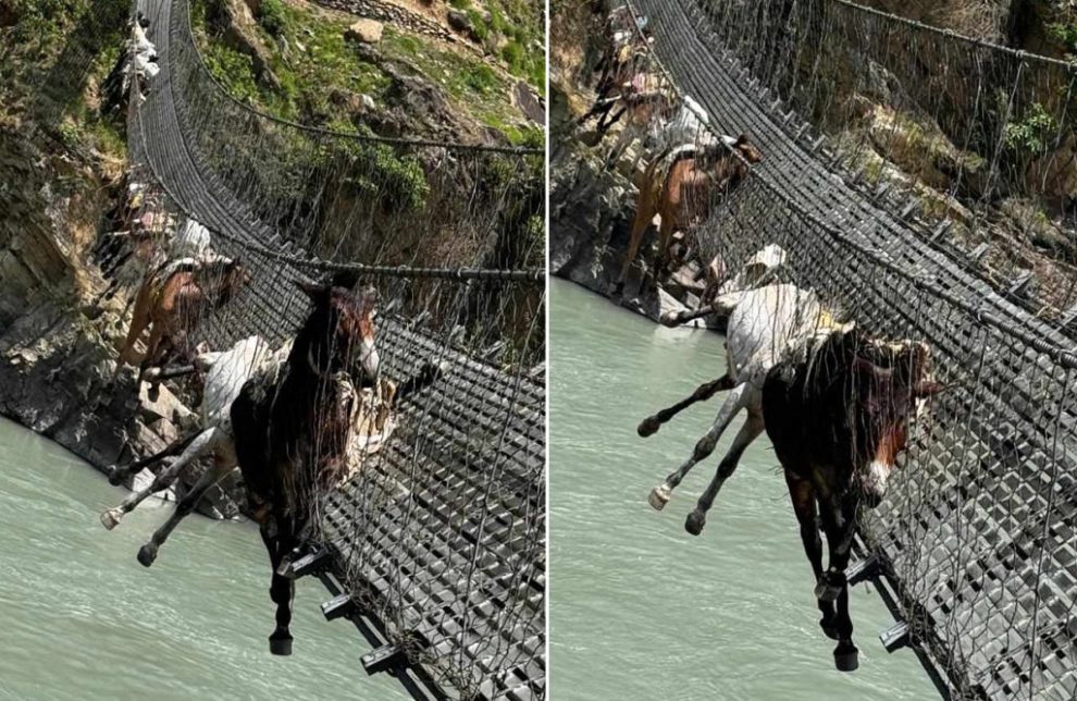 khachchar-karnali-bridge-1024x666