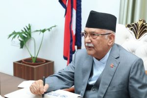 KP_Oli_PM